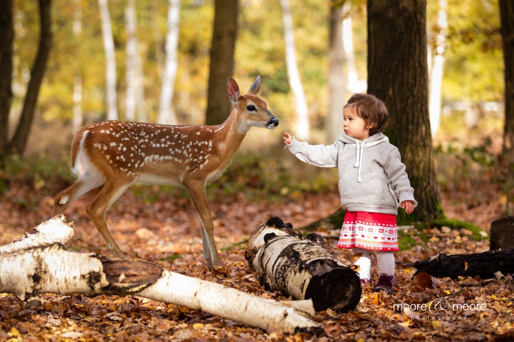 Autumn family photo session - children enjoying the woods. Photography by Helen Moore, moore&moore photography